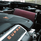 SET: 5“ carbon intake system + 4” inlet + 5 upgrade ignition coils - BTM Turbo