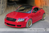 WIDE FENDERS GT, AUDI TT 8N